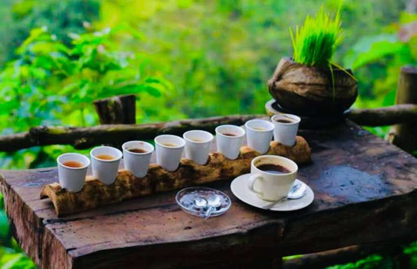 Bali: Mount Batur Sunrise Jeep and Black Lava With Breakfast - Exploring Black Lava: what you’re seeing after centuries of eruption