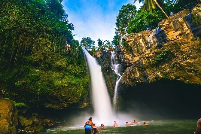 Bali Night Market Experience and Ubud Highlights tour - Private Ubud highlights, from waterfall to night market dinner