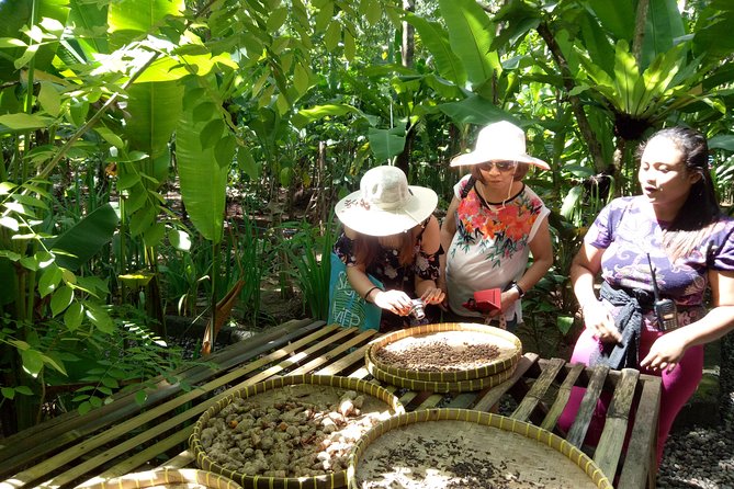 Bali Night Market Experience and Ubud Highlights tour - Price and value: is $45.50 a fair deal for this day?