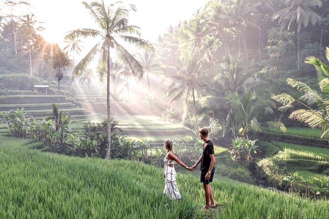 Bali Night Market Experience and Ubud Highlights tour - Getting around: AC private car and an English-speaking guide
