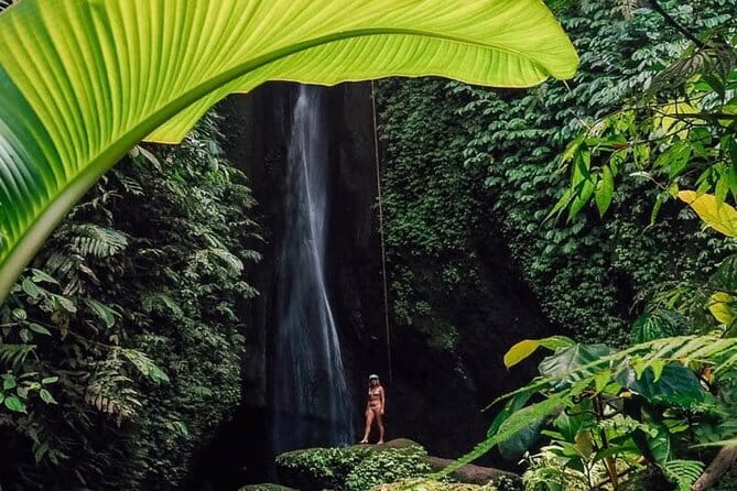 Bali : Northern Bali Private Day Trip with Transfer - Key highlights worth knowing