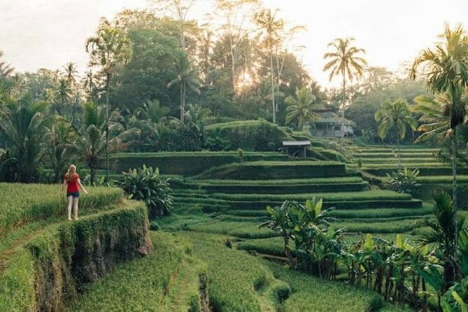 Bali : Northern Bali Private Day Trip with Transfer - Ulun Danu Beratan Temple: the classic temple photo stop