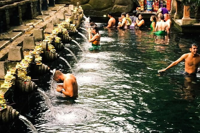 Bali : Northern Bali Private Day Trip with Transfer - Price and value: what you’re paying $42 for, and what you still must budget