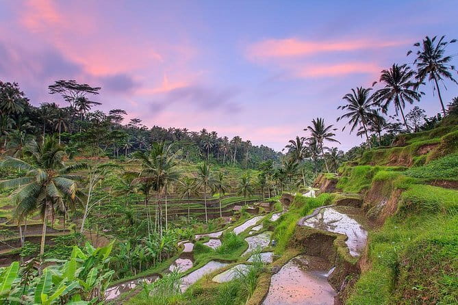 Bali : Northern Bali Private Day Trip with Transfer - Private tour comfort: guide time, customization, and air-conditioning reality