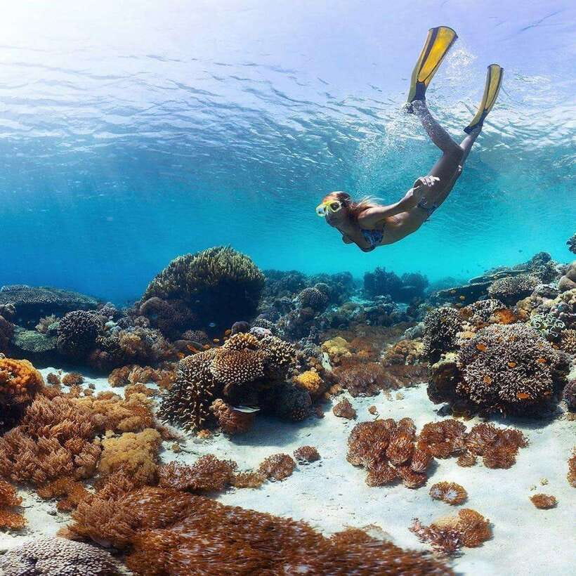 Bali: Nusa Penida Manta Snorkeling Tour & Beach Club Access - Why This Nusa Penida Tour Works for First-Timers