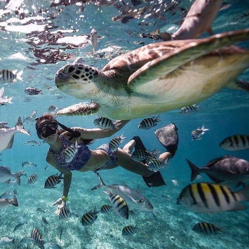 Bali: Nusa Penida Manta Snorkeling Tour & Beach Club Access - Manta Point Snorkeling: The Main Event (and How to Enjoy It)