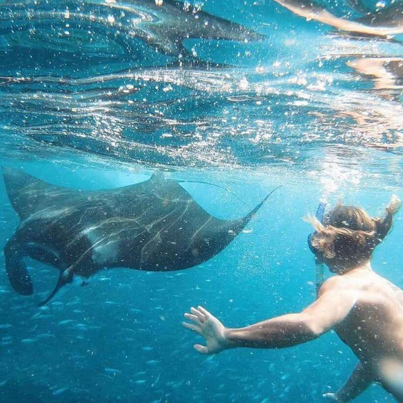 Bali: Nusa Penida Manta Snorkeling Tour & Beach Club Access - Singabu Sand Beach and the Beach Club Reset