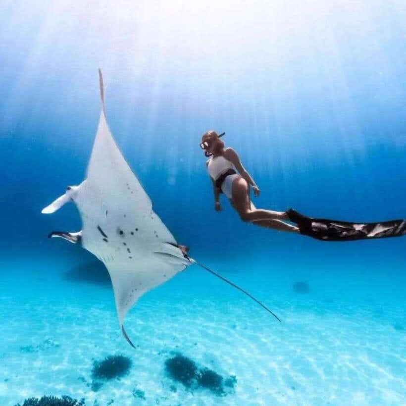 Bali: Nusa Penida Manta Snorkeling Tour & Beach Club Access - Getting to Nusa Penida: Fast Boat, Pickup Timing, and What It Means
