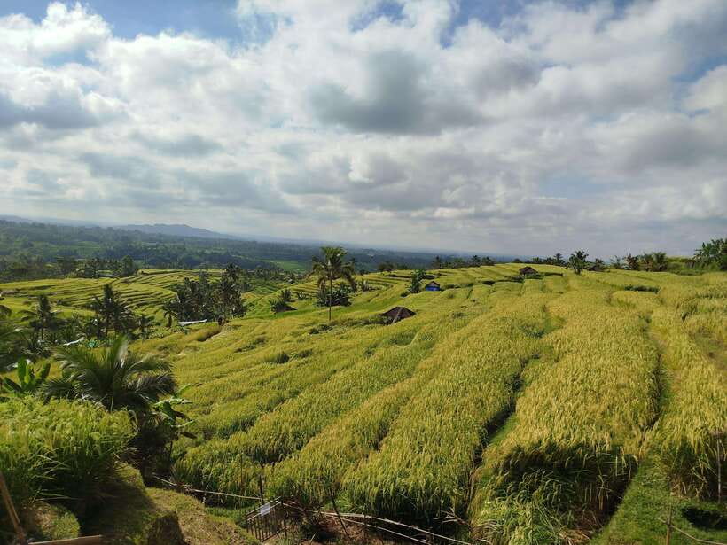 Bali: Private Car Charter with English's speaking driver - Money Tips: Tickets, Card Limits, and Cash Planning