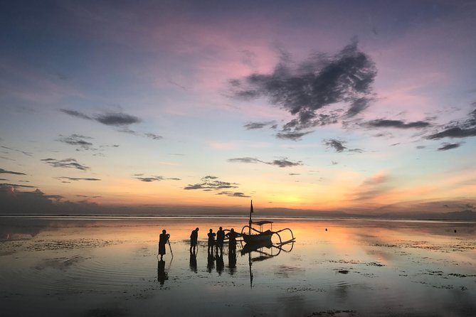 Bali Private Car Charter With English Speaking Driver - Who this Bali private car charter is best for