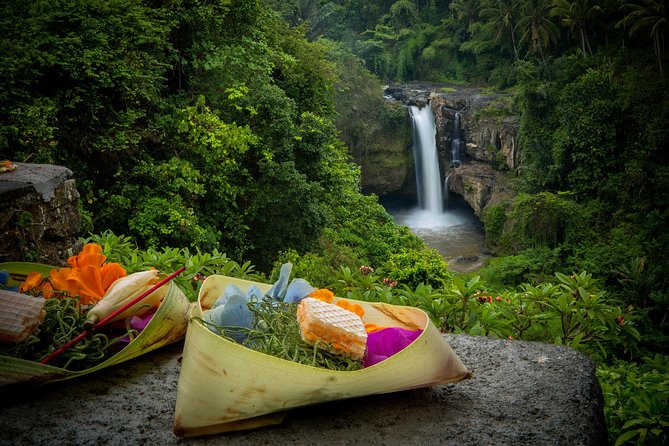 Bali Private Car Hire with Driver - Ubud warm-up: Monkey Forest, ridge walks, and rice terrace time