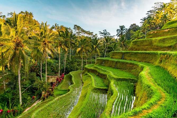 Bali Private Car Hire with Driver - Elephant Cave, Batuan temple, and the art market: culture stops that feel local