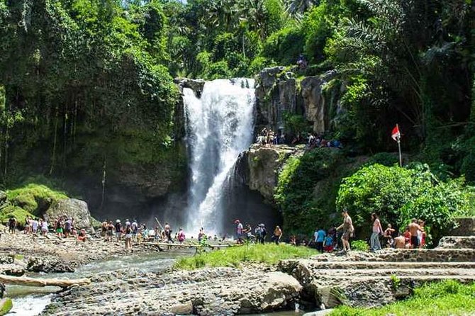 Bali Private Car Hire with Driver - Waterfalls and swing stops: the part of the day built for fun photos