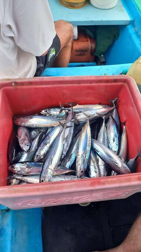 Bali: Private Fishing Trip with Lunch - How fishing works here: corral fishing, trolling, and season reality