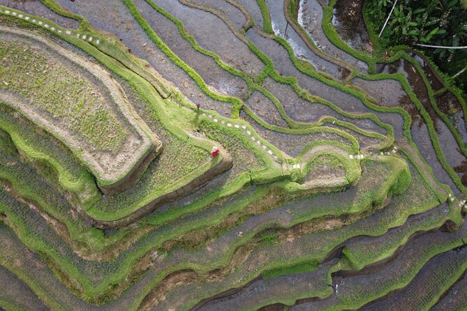 Bali Private Photographer & Drone - How the 2-Hour Shoot Works in Ubud