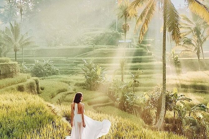 Bali Private Tour - Best of Ubud - All Inclusive - Why this Best of Ubud day trip feels efficient (but not rushed)