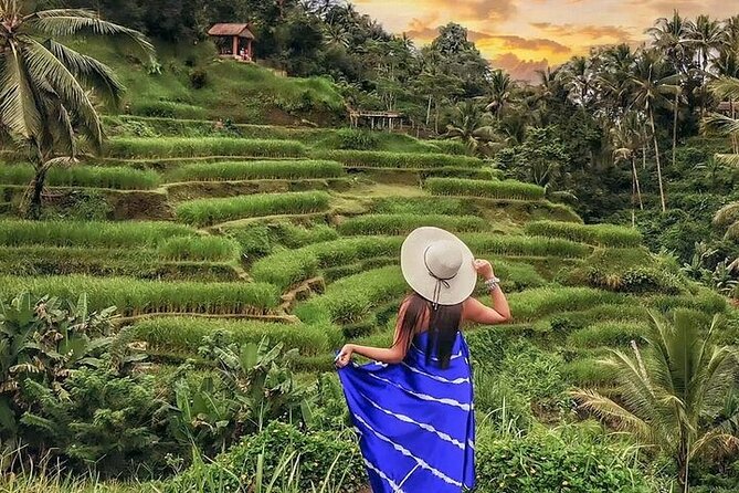 Bali Private Tour - Best of Ubud - All Inclusive - Tegenungan Waterfall: the sweet spot between time and wow factor