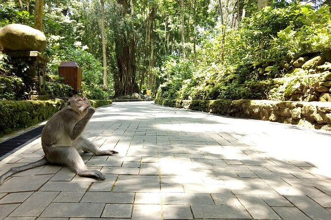 Bali Private Tour : Best Of Ubud & Volcano View With Jungle Swing - Stop 4: Mount Batur and Kintamani viewpoints with a restaurant lunch option