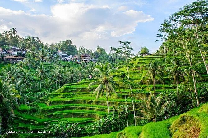 Bali Private Tour : Best Of Ubud & Volcano View With Jungle Swing - Stop 5: Tirta Empul Temple and the holy water bathing pond