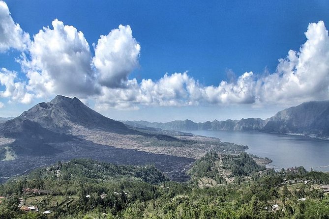 Bali Private Tour : Best Of Ubud & Volcano View With Jungle Swing - Stop 2: Tegalalang Rice Terraces for valley views and farmer time
