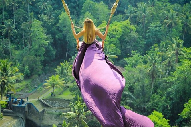 Bali Private Tour: Lempuyang Gate of heaven-Tirta gangga-Tukad Cepung - Bali’s four-photo “must-sees” in one 5-hour day