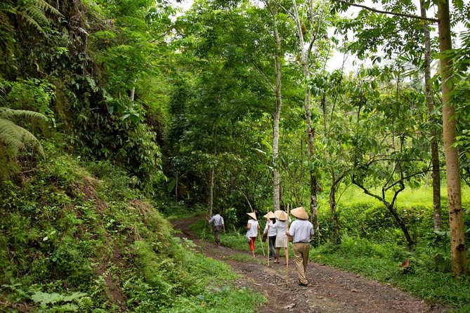 Bali Pure trek with spiritual journey, purification ceremony, local priest -Ubud - Key highlights worth your time