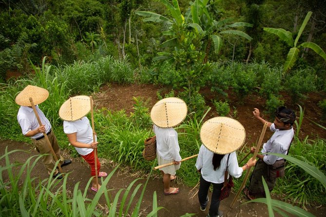 Bali Pure trek with spiritual journey, purification ceremony, local priest -Ubud - Temples and secret spots back toward Ubud