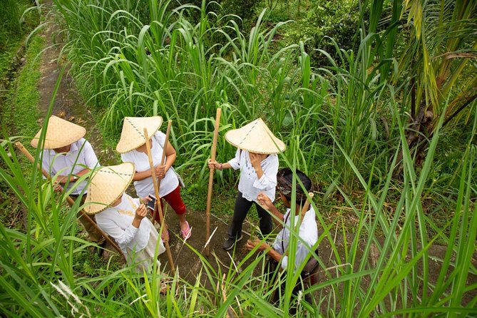 Bali Pure trek with spiritual journey, purification ceremony, local priest -Ubud - Getting there: 7:30am pickup, a full day, and what to expect