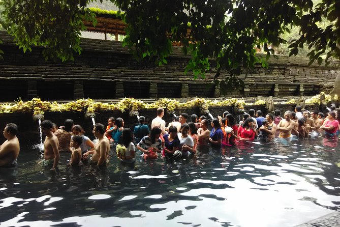 Bali Purification Ritual - The Sacred Springs (1–1.5 Hours): How the Ritual Moves, Step by Step