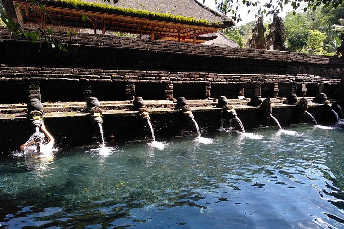 Bali Purification Ritual - Who This Ubud Ritual Tour Fits Best