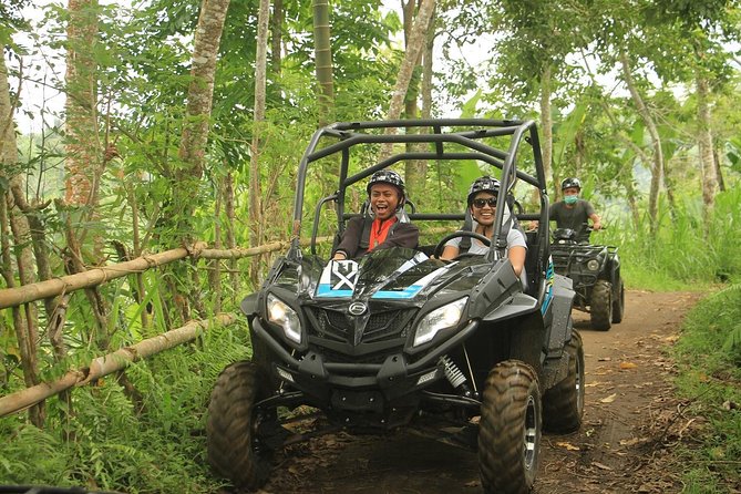 Bali Quad and Buggy Explorer Tour - Quick highlights