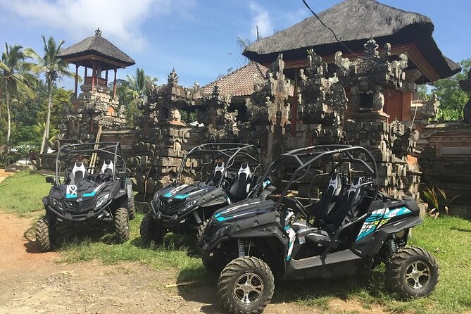 Bali Quad and Buggy Explorer Tour - Ubud Off-Road Choice: Kawasaki ATV vs CFmoto ZForce Buggy