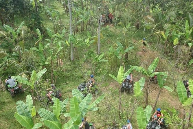 Bali Quad bike ATV passing through Waterfall, Cave & Rice fields - The 1.5-Hour ATV Loop Through Waterfall, Cave, River, Jungle, and Rice Fields