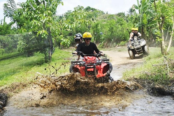 Bali Quad Bike Through Gorilla Cave - Monkey Forest and Waterfall - Guides and safety: what makes the experience feel well-run