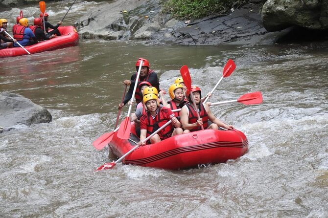 Bali Rafting - The Ride: What the Ayung River Looks Like Up Close