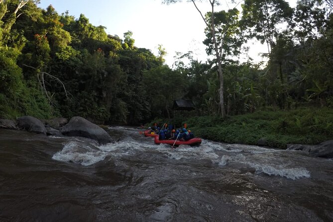 Bali Rafting - Lunch After the Splash: Simple, Included, and Welcome