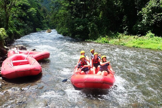 Bali Rafting Adventure + East Bali Tour - Stop 2: Tirta Gangga, a calmer next step after rafting
