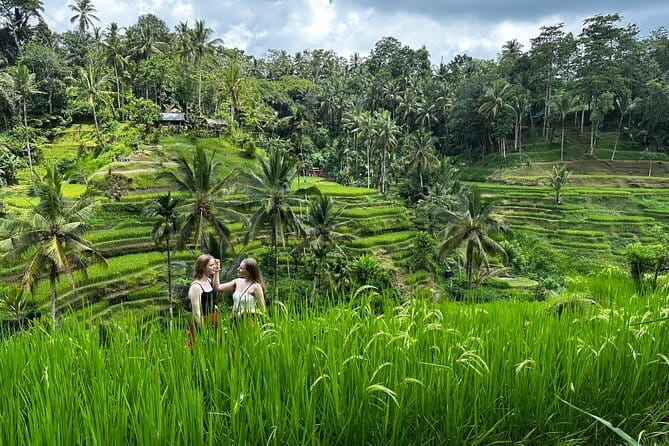 Bali Rafting : Bali Family Rafting in Ubud and Ubud Private Tour - Ubud orientation stop: a quick lesson before you see the sights