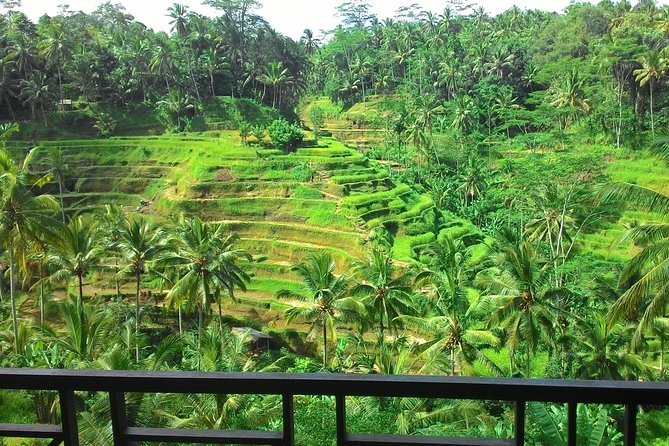 Bali Rafting + Rice Terrace + 1,5Hrs Balinese Massage + Lunch - Tegallalang rice terrace lunch: subak views and an easy cultural break