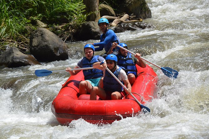 Bali Rafting - Ubud River Rafting With Lunch - Price and value: why $29 can make sense here