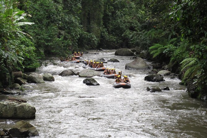 Bali Rafting Ubud with Lunch - What’s included (and what you’ll likely pay extra for)