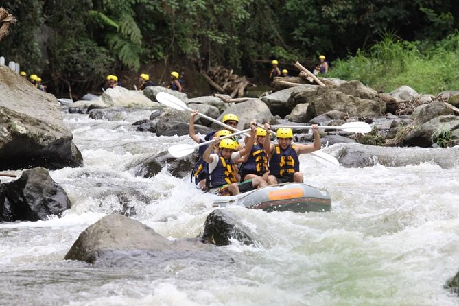 Bali Rafting Ubud with Lunch - Who should book this Ayung River rafting with lunch