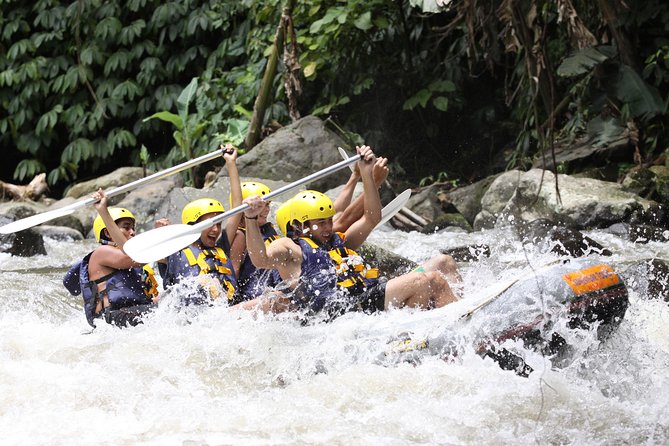 Bali Rafting Ubud with Lunch - Meeting at Ayung Dewata Rafting in Kedewatan (and what’s provided)