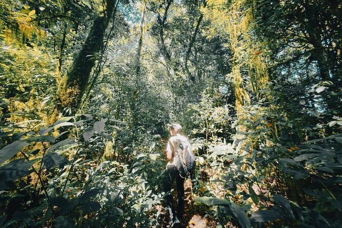 Bali Rainforest Hiking With Canoeing And Waterfall Adventure - Key highlights you’ll feel in your day