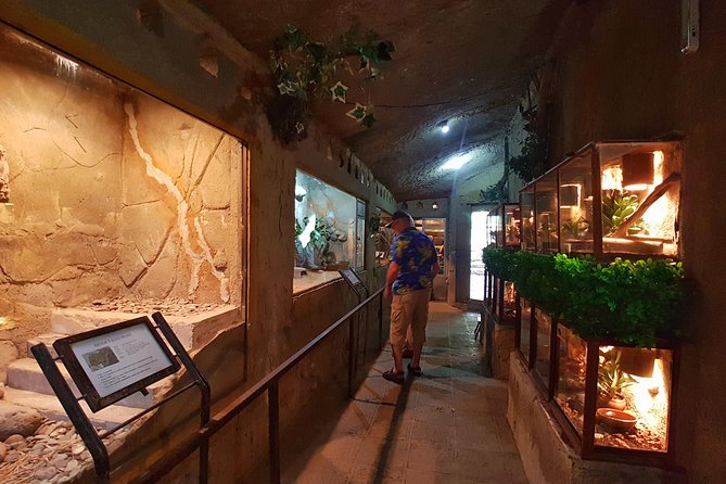 Bali Reptile Park Entrance Ticket - Handling moments, selfie spots, and the café break