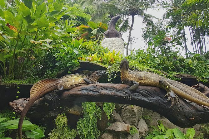 Bali Reptile Park Entrance Ticket - Guide quality: what to expect with Widya or Rama