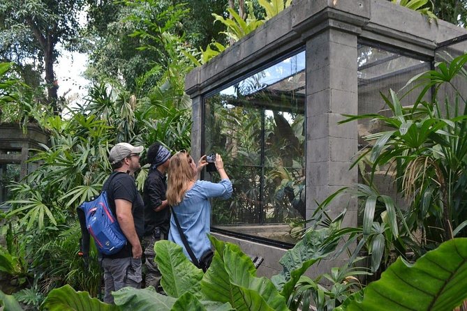 Bali Reptile Park Entrance Ticket - Value for families and casual reptile fans (and who might not love it)