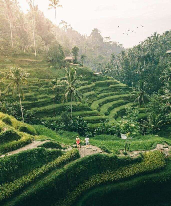 Bali: Rice terrace, Waterfall, and water Temple Day Tour - Tibumana Waterfall: another swim with lush water