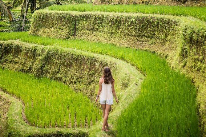 Bali Rural Village Bike - The ride out: rice paddies, village lanes, and getting your bearings fast