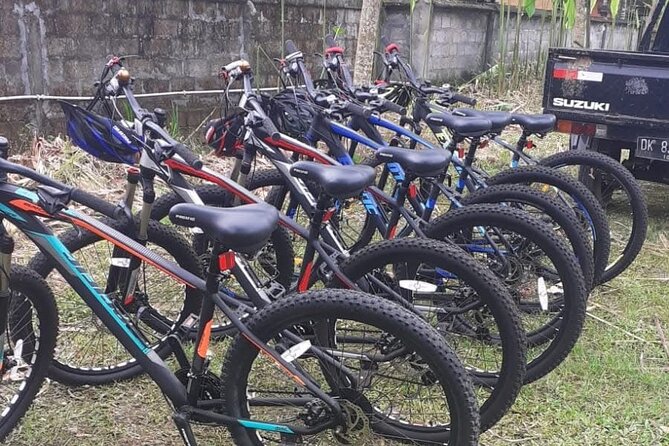 Bali Rural Village Bike - Architecture and compound visit: beyond the postcard house